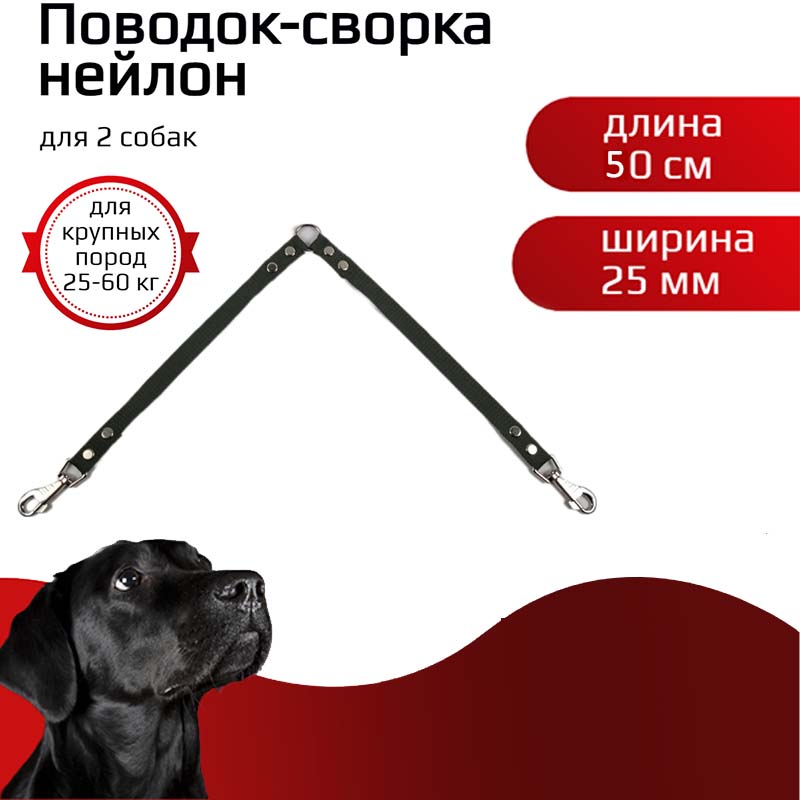 Поводок-сворка для собак Хвостатыч, для крупных пород, зеленый, нейлон, 2 х 50 см х 25 мм
Поводок-сворка для собак Хвостатыч, для крупных пород, зеленый, нейлон, 2 х 50 см х 25 мм