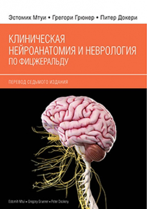 фото Книга клиническая нейроанатомия и неврология по фицжеральду издательство панфилова