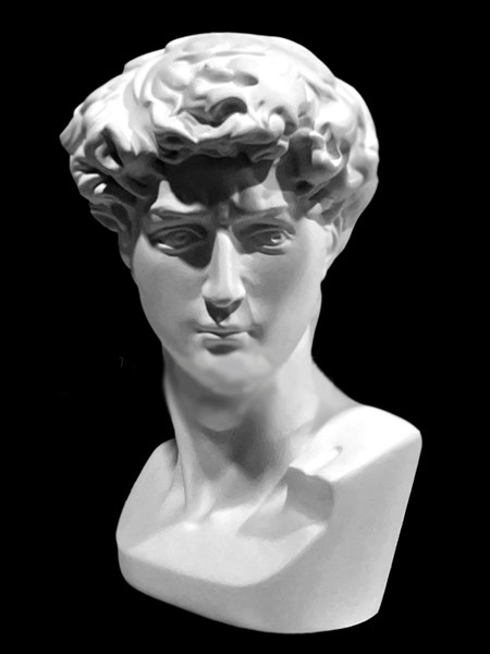 Гипс. Бюст Давид (малый), h=19,5 см, Экорше, артикул 10-185, Экорше Гипс. Бюст Давид (малый), h=19,5 см, артикул 10-185
Гипс. Бюст Давид (малый), h=19,5 см, Экорше, артикул 10-185, Экорше Гипс. Бюст Давид (малый), h=19,5 см, артикул 10-185