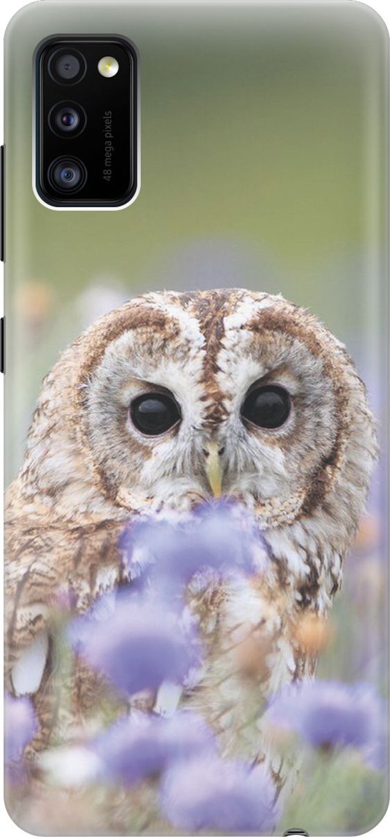 Силиконовый чехол на Samsung Galaxy A41 с принтом "Сова и васильки", Белый;голубой, 386
Силиконовый чехол на Samsung Galaxy A41 с принтом "Сова и васильки", Белый;голубой, 386