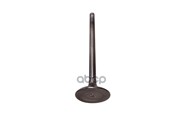 Клапан Впускной Hyundai I30 (2007-2012)/Solaris (Sb/Rb) (2010- )/Kia Ceed (2007-2012)/Rio
Клапан Впускной Hyundai I30 (2007-2012)/Solaris (Sb/Rb) (2010- )/Kia Ceed (2007-2012)/Rio