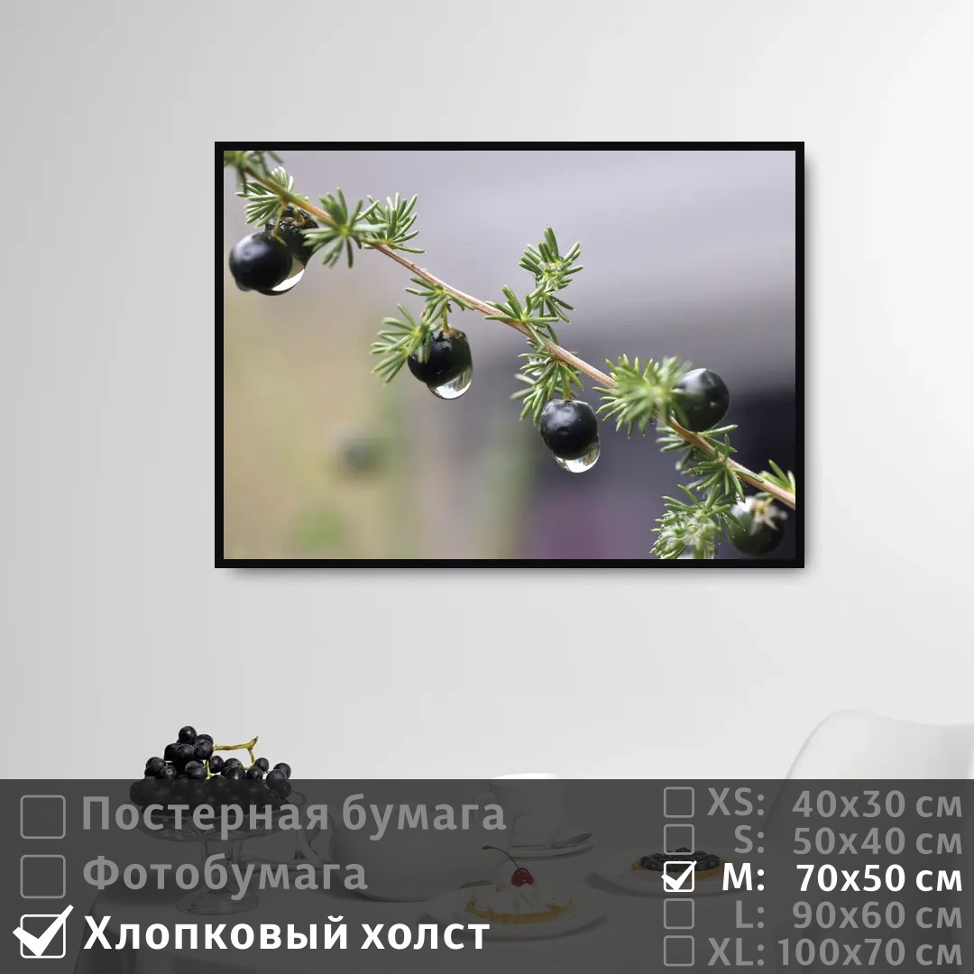 Постер на холсте ПолиЦентр Ветка с ягодой после дождя 70х50 см, ВеткаСЯгодойПослеДождя
Постер на холсте ПолиЦентр Ветка с ягодой после дождя 70х50 см, ВеткаСЯгодойПослеДождя