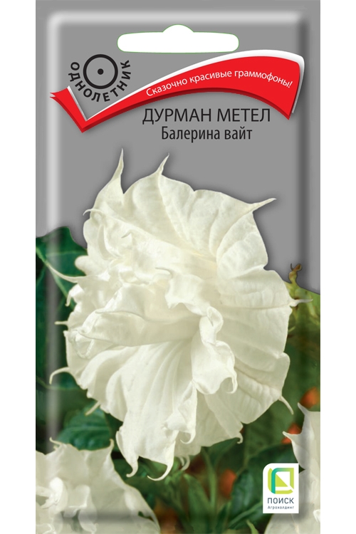 Семена дурман Поиск Балерина Вайт 47415 1 уп., Семена Дурман метел Балерина Вайт однолетние 3 шт.
Семена дурман Поиск Балерина Вайт 47415 1 уп., Семена Дурман метел Балерина Вайт однолетние 3 шт.