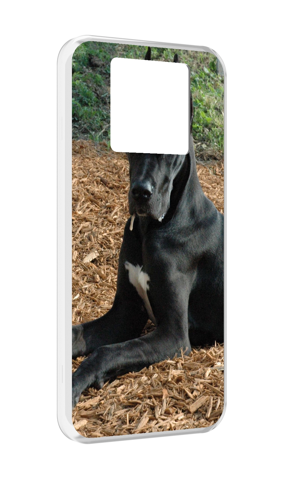 Чехол MyPads немецкии дог для Black Shark 3 5G / Black Shark 3S, Прозрачный, Tocco
Чехол MyPads немецкии дог для Black Shark 3 5G / Black Shark 3S, Прозрачный, Tocco