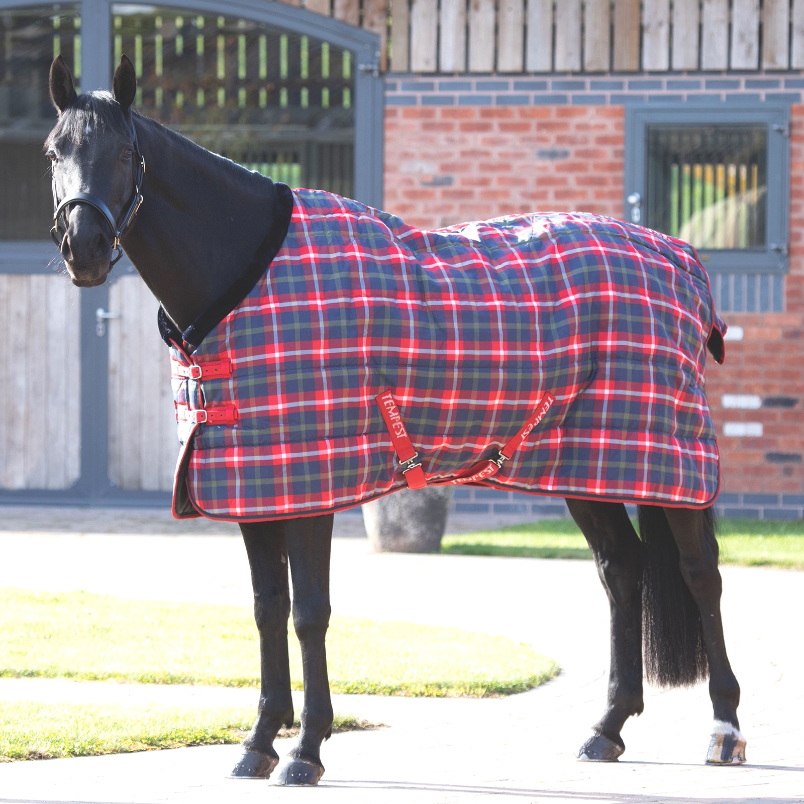Попона денниковая для лошади SHIRES TEMPEST Plus, 1200D, 200g, 150, красная клетка, Красный
Попона денниковая для лошади SHIRES TEMPEST Plus, 1200D, 200g, 150, красная клетка, Красный