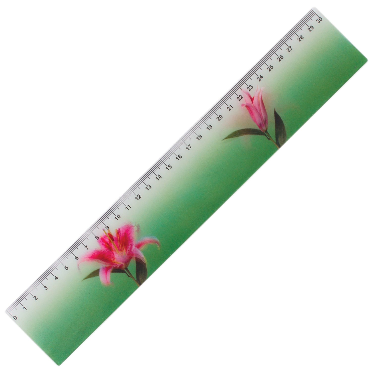 Линейка 3D, 30 см, BRAUBERG, эффект движения, "Удивительный цветок", европодвес, 210581
Линейка 3D, 30 см, BRAUBERG, эффект движения, "Удивительный цветок", европодвес, 210581