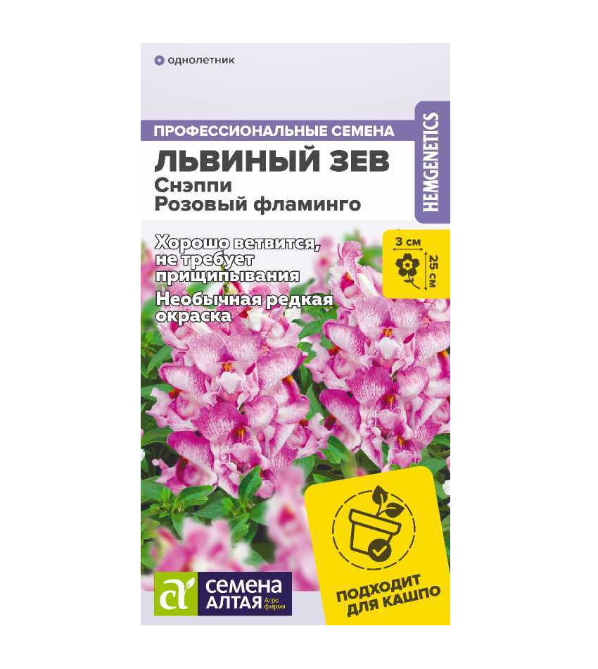 Семена львиный зев Семена Алтая Снэппи Розовый Фламинго 63104 1 уп., Семена Львиный зев Снэппи Розовый фламинго Голландия 10 шт./уп.
Семена львиный зев Семена Алтая Снэппи Розовый Фламинго 63104 1 уп., Семена Львиный зев Снэппи Розовый фламинго Голландия 10 шт./уп.