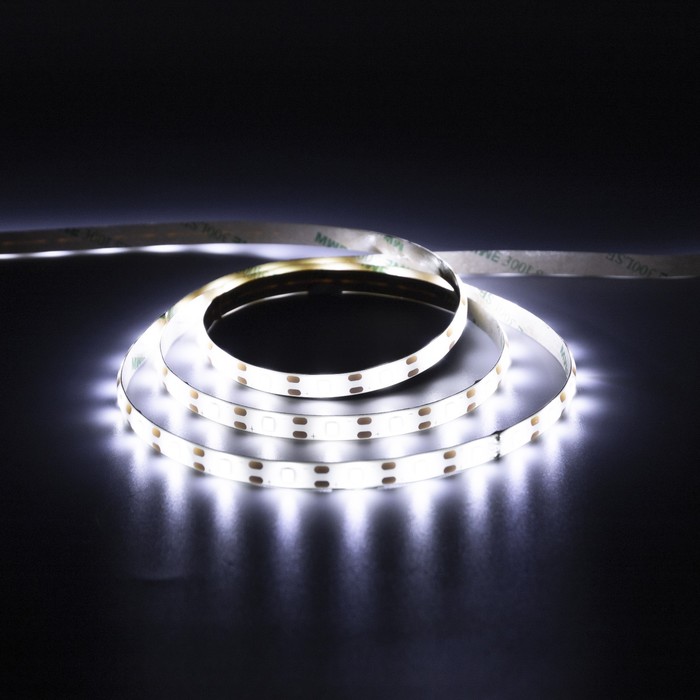 Светодиодная лента Luazon Lighting с датчиком движения 2 м, IP65, SMD2835, 60 LED/м, 6 В
Светодиодная лента Luazon Lighting с датчиком движения 2 м, IP65, SMD2835, 60 LED/м, 6 В