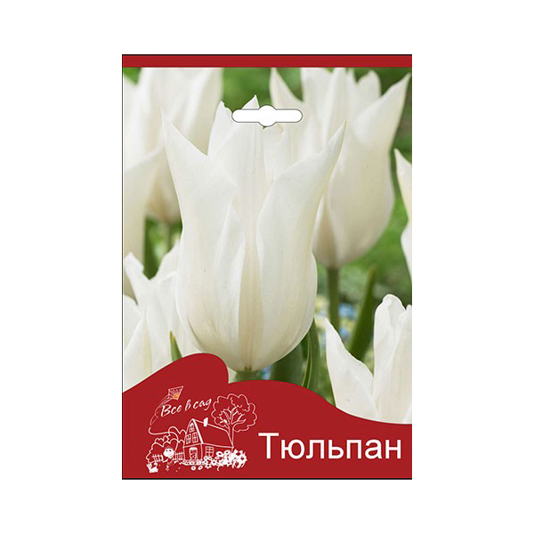 Луковицы тюльпан Уай Триумфато Все в сад 3 шт.
Луковицы тюльпан Уай Триумфато Все в сад 3 шт.