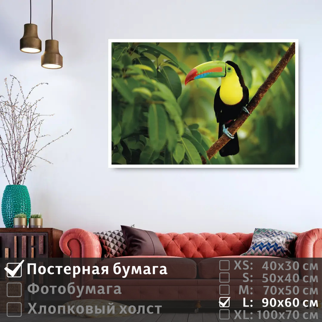 Постер на стену ПолиЦентр Тропическая птица тукан сидит на ветке 90х60 см, ТропическаяПтицаТуканСидитНаВетке
Постер на стену ПолиЦентр Тропическая птица тукан сидит на ветке 90х60 см, ТропическаяПтицаТуканСидитНаВетке