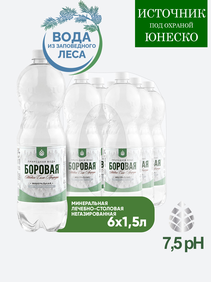 Вода BOROVAYA (БОРОВАЯ), лечебно-столовая минеральная, негазированная, ПЭТ 1.5 л (6 штук)
Вода BOROVAYA (БОРОВАЯ), лечебно-столовая минеральная, негазированная, ПЭТ 1.5 л (6 штук)
