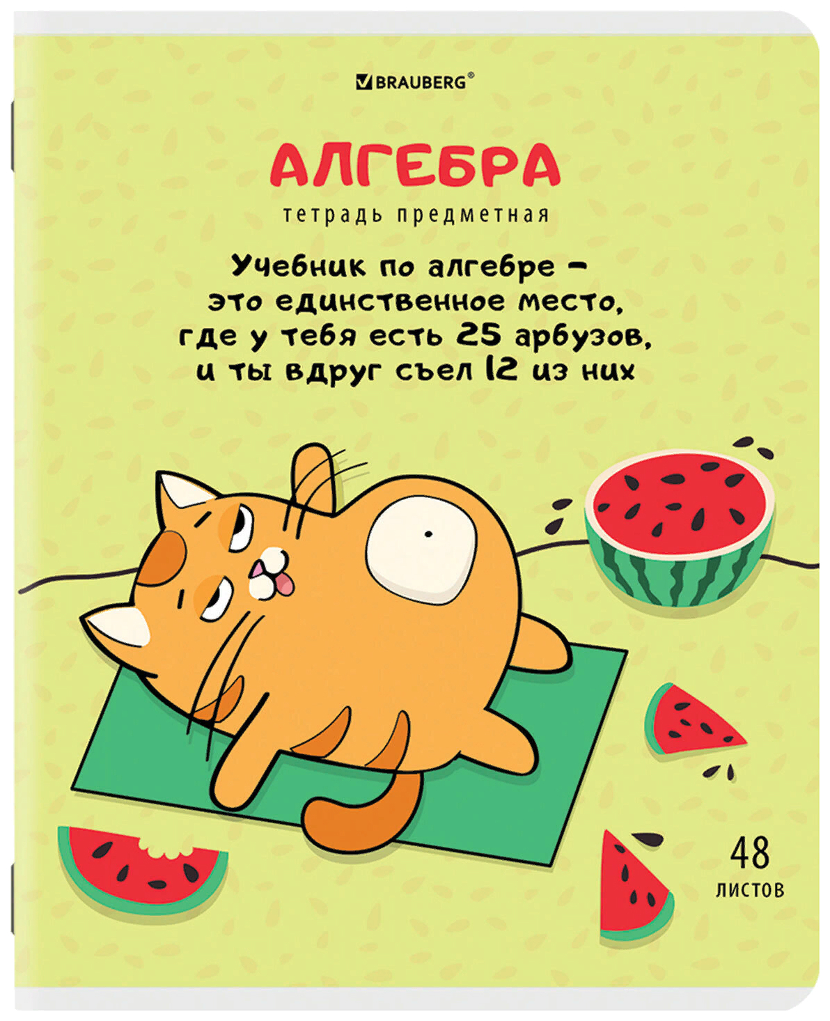 Набор из 20 шт, Тетрадь предметная "КОТ-ЭНТУЗИАСТ" 48 л., TWIN-лак, АЛГЕБРА, клетка, подск