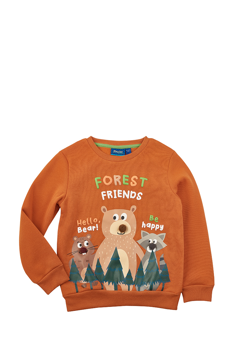 Свитшот детский Max&Jessi AW22C21403318, коричневый, 98, AW22C21403318