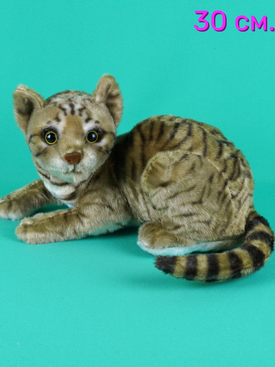Мягкая игрушка АКИМБО КИТ Реалистичная кот 30 см, Коричневый, Игрушка Реалистичная кот 30 см. 
Мягкая игрушка АКИМБО КИТ Реалистичная кот 30 см, Коричневый, Игрушка Реалистичная кот 30 см.