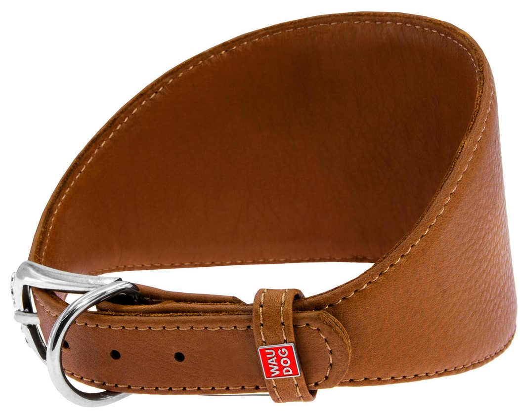Ошейник для собак Collar Waudog Soft для борзых собак без украшений Коричневый 29-35 см
Ошейник для собак Collar Waudog Soft для борзых собак без украшений Коричневый 29-35 см