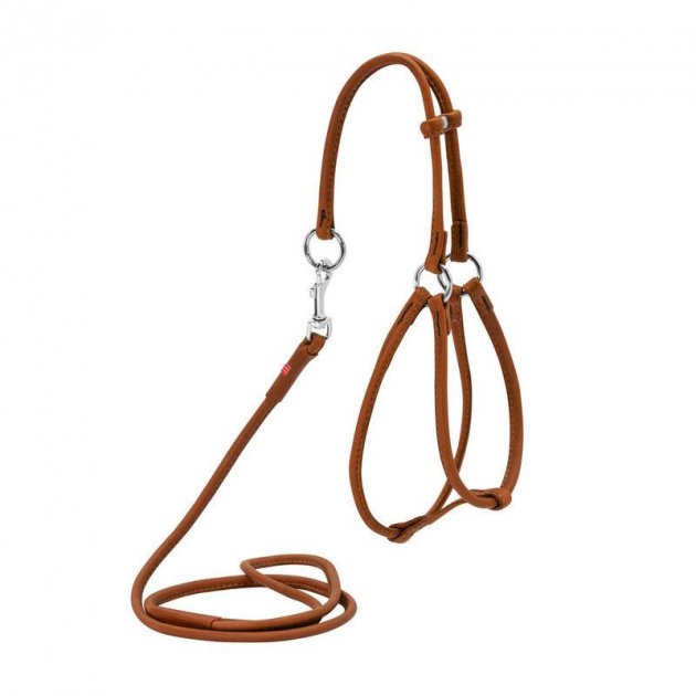 Шлейка для собак Collar Waudog Soft №2, кожа, металл, коричневый 6 мм 42-60 см/46-64 см
Шлейка для собак Collar Waudog Soft №2, кожа, металл, коричневый 6 мм 42-60 см/46-64 см