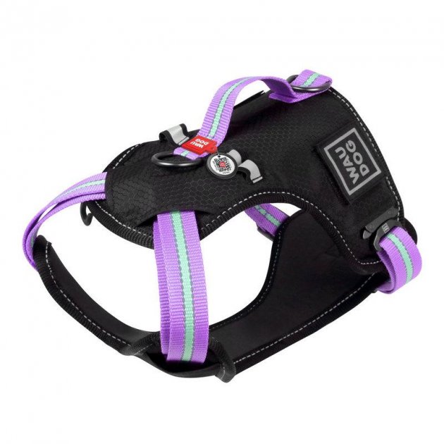 Шлейка для собак Collar Waudog Nylon, полиэстер, пластик, нейлон, металл, фиолетовый S, Черный;фиолетовый
Шлейка для собак Collar Waudog Nylon, полиэстер, пластик, нейлон, металл, фиолетовый S, Черный;фиолетовый