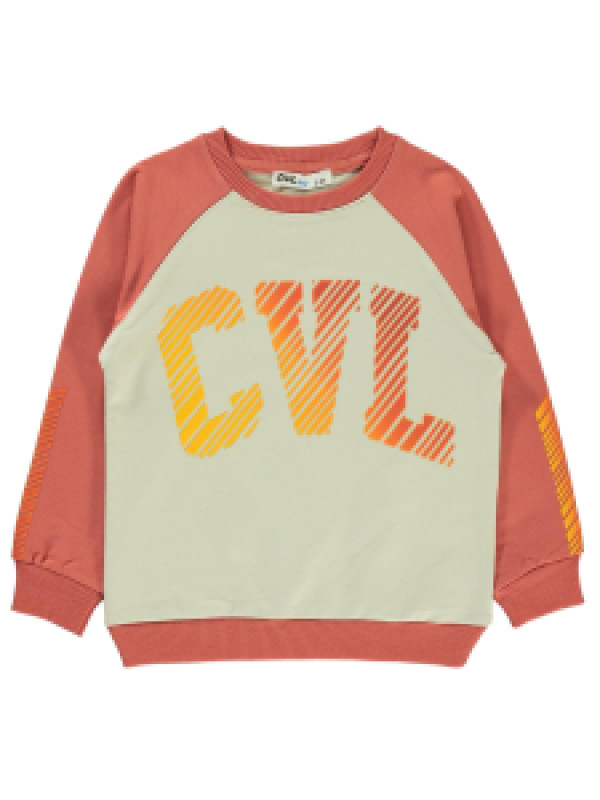Свитшот Civil 183308681Y21-1, 3-4 лет, светло-коричневый (доставка из-за рубежа), 183308681Y21
Свитшот Civil 183308681Y21-1, 3-4 лет, светло-коричневый (доставка из-за рубежа), 183308681Y21
