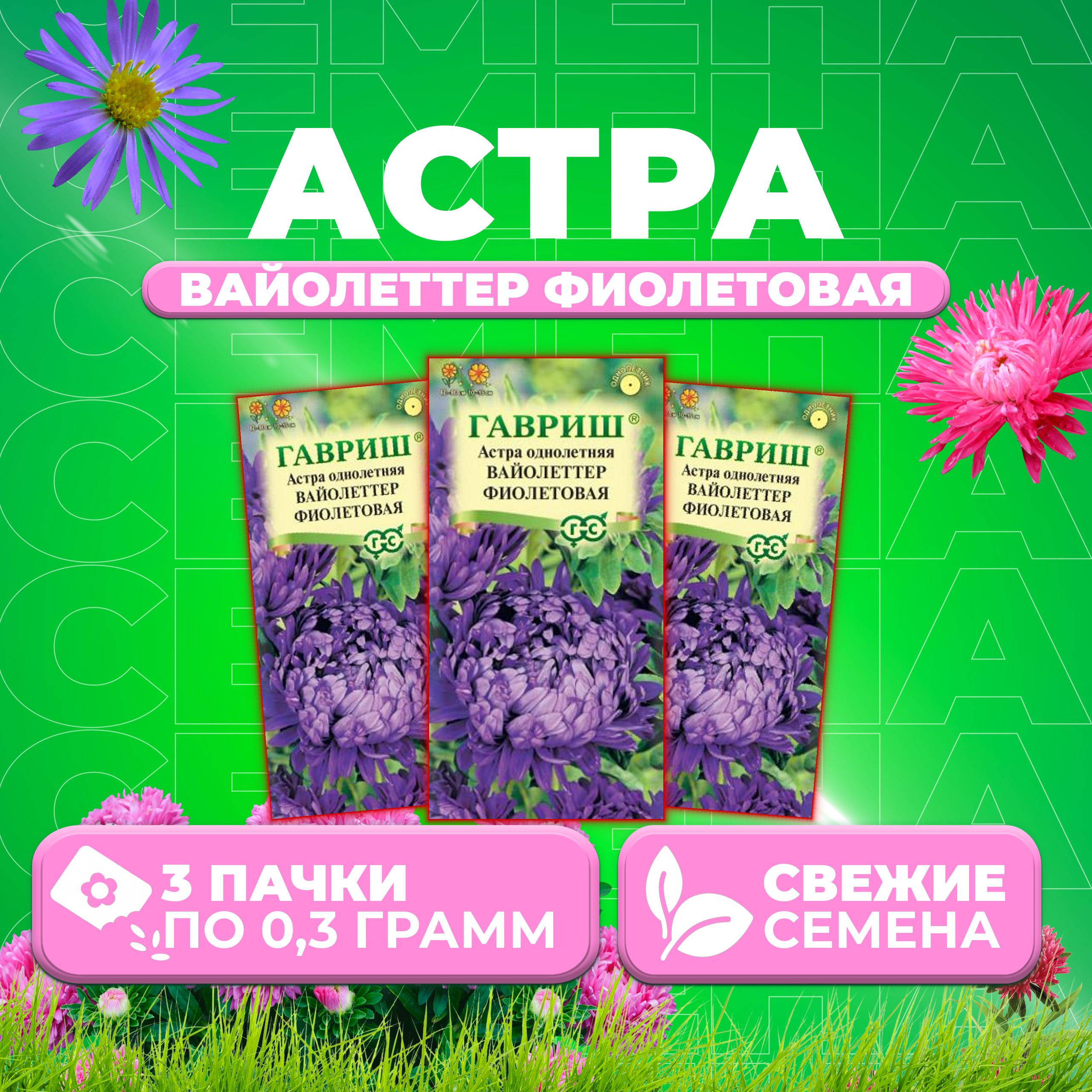 Семена Астра Вайолеттер фиолетовая, пионовидная, 0,3г, Гавриш, Цветочная коллекция 3 уп
Семена Астра Вайолеттер фиолетовая, пионовидная, 0,3г, Гавриш, Цветочная коллекция 3 уп
