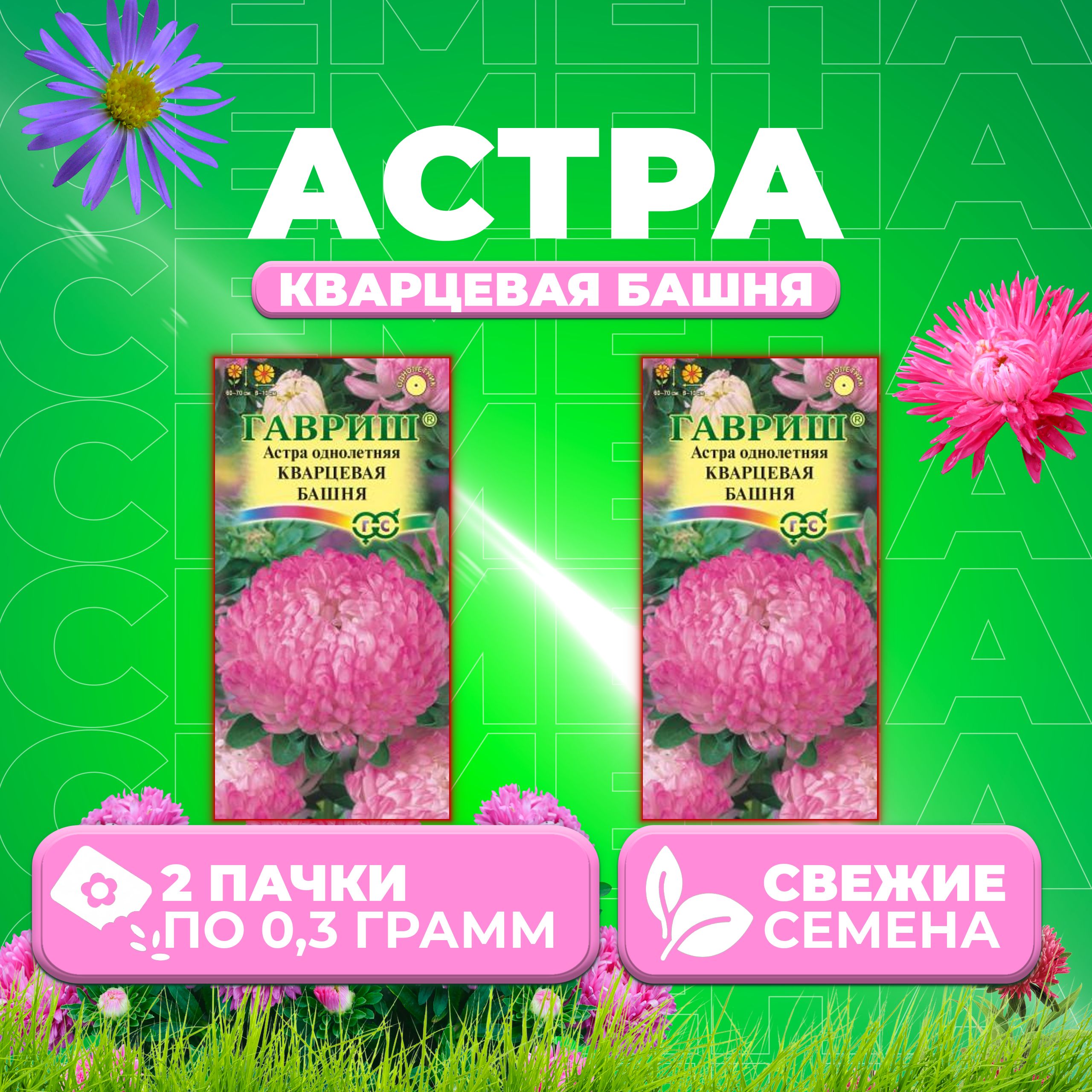 Семена Астра Башня кварцевая, пионовидная, 0,3г, Гавриш, Цветочная коллекция 2 уп
Семена Астра Башня кварцевая, пионовидная, 0,3г, Гавриш, Цветочная коллекция 2 уп