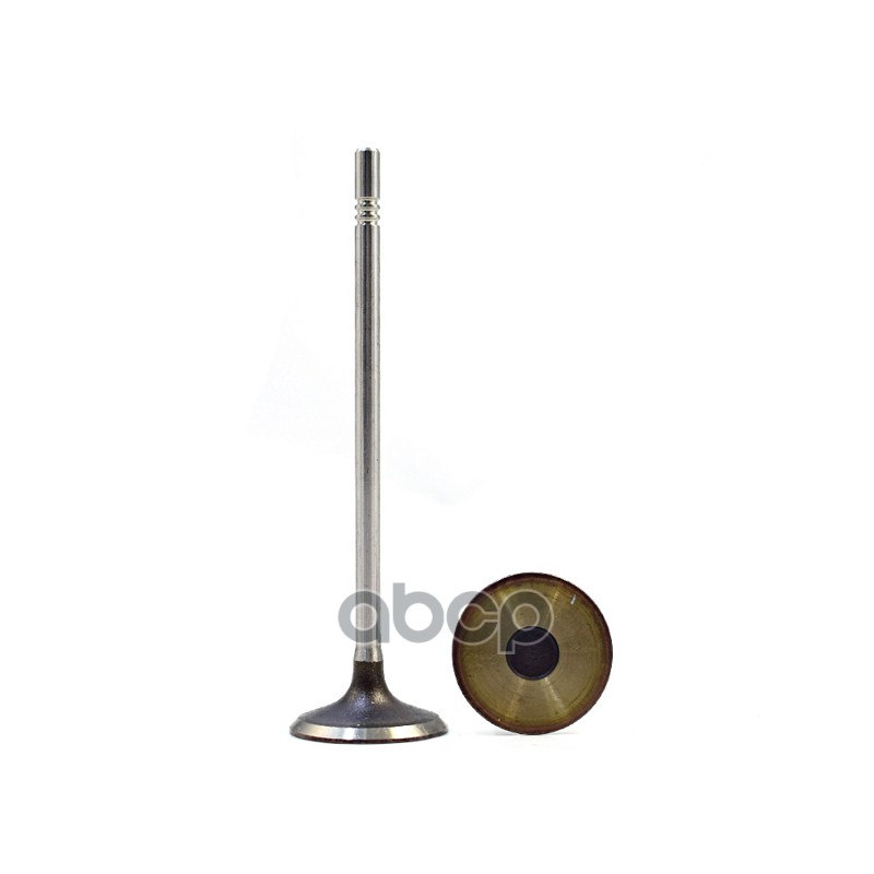 Клапан впускной Opel Astra H/Astra H GTC/Astra H Twintop 05>17 Fiat Croma 05> Alfa Romeo 1
Клапан впускной Opel Astra H/Astra H GTC/Astra H Twintop 05>17 Fiat Croma 05> Alfa Romeo 1