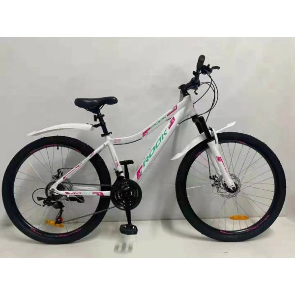 фото Велосипед 24 rook ma240dw (disk) (alu рама) (21-ск.) белый (рама 11)