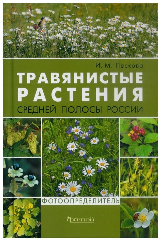 Книга Травянистые растения средней полосы России. Фотоопределитель, ФОТОГРАФИЯ.ФОТОСЪЕМКА.ФОТОАЛЬБОМЫ
Книга Травянистые растения средней полосы России. Фотоопределитель, ФОТОГРАФИЯ.ФОТОСЪЕМКА.ФОТОАЛЬБОМЫ