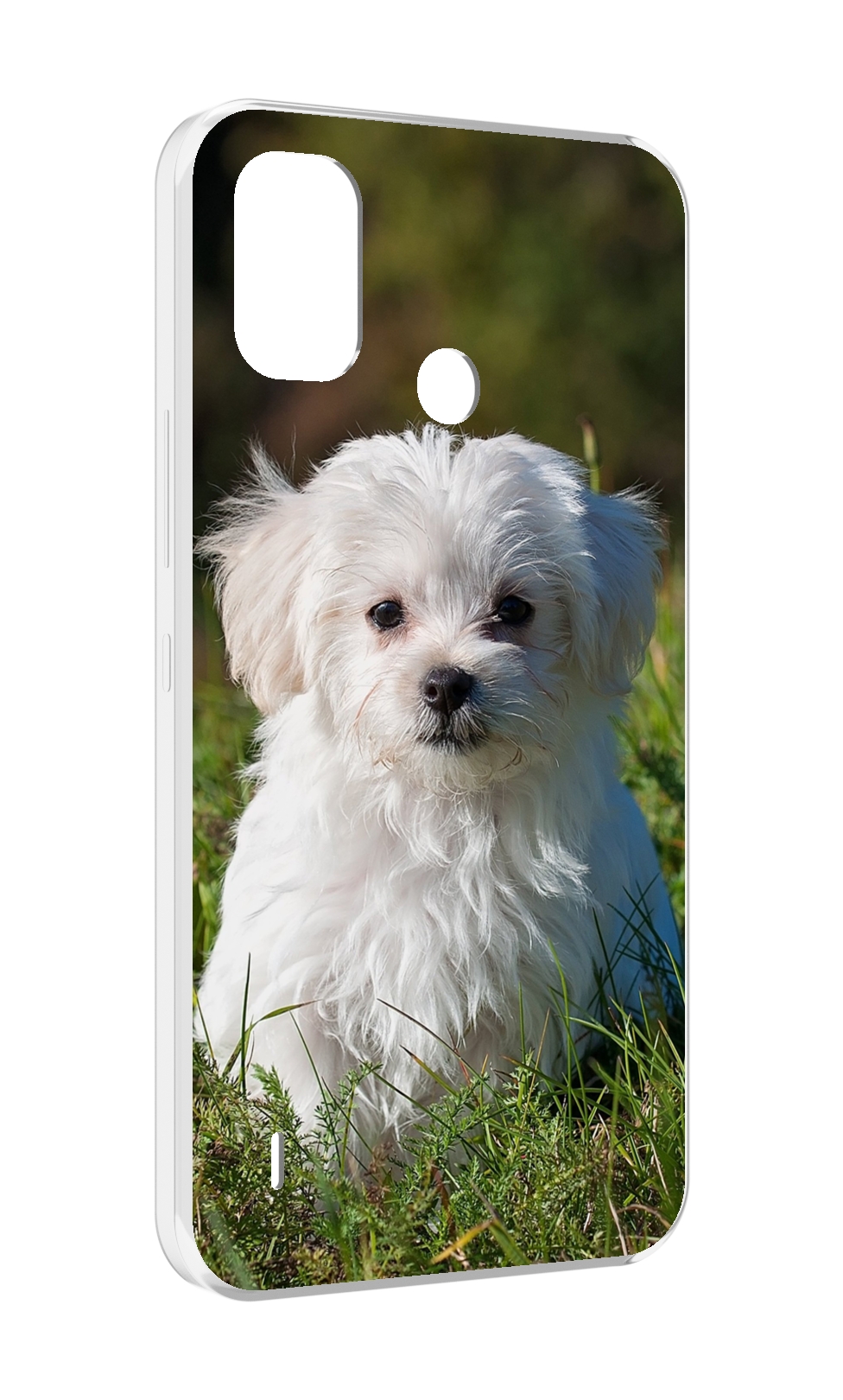 Чехол MyPads мальтииская-болонка для Itel A48, Прозрачный, Tocco
Чехол MyPads мальтииская-болонка для Itel A48, Прозрачный, Tocco