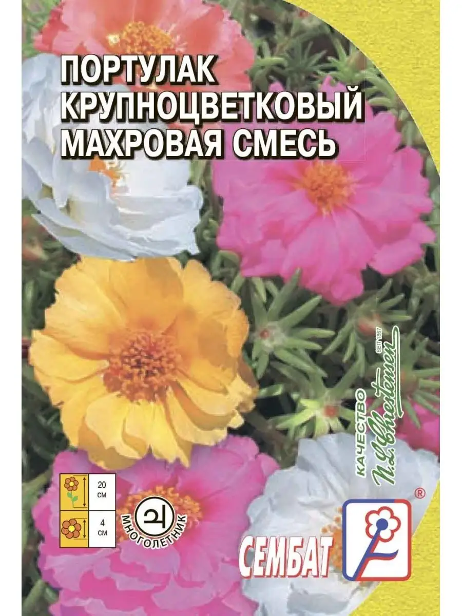 Семена Портулак Крупноцветковый махровая смесь 0.05г Сембат 1 упаковка, Крупноцветковый
Семена Портулак Крупноцветковый махровая смесь 0.05г Сембат 1 упаковка, Крупноцветковый