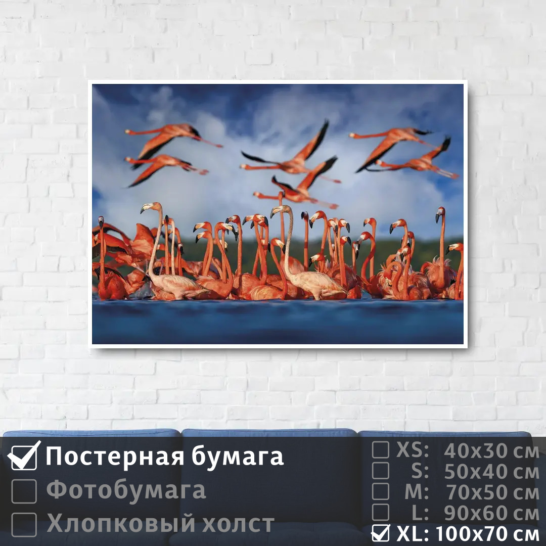 Постер на стену ПолиЦентр Стая розовых фламинго у берега 100х70 см, СтаяРозовыхФламингоУБерега1
Постер на стену ПолиЦентр Стая розовых фламинго у берега 100х70 см, СтаяРозовыхФламингоУБерега1