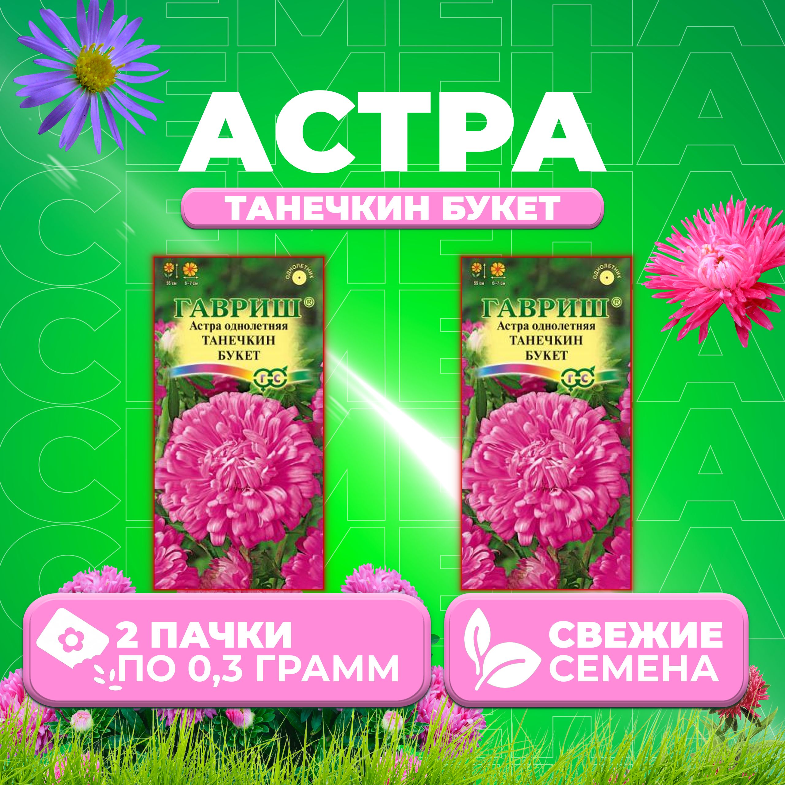 Семена Астра Танечкин букет, воронежская, 0,3г, Гавриш, Цветочная коллекция 2 уп
Семена Астра Танечкин букет, воронежская, 0,3г, Гавриш, Цветочная коллекция 2 уп