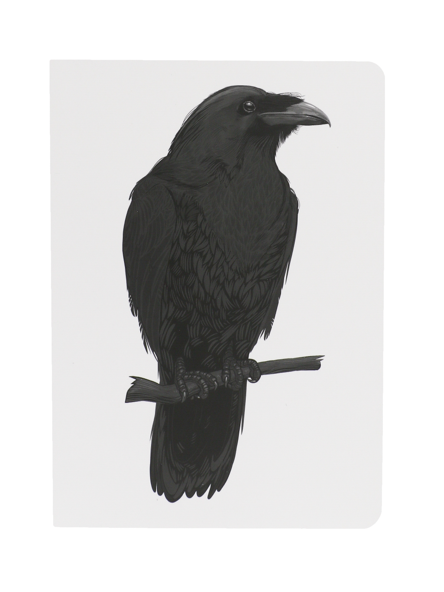 Блокнот LAMASKIS Black Raven, А5, 128 страниц в точку, белая бумага, notebook_blackraven
Блокнот LAMASKIS Black Raven, А5, 128 страниц в точку, белая бумага, notebook_blackraven