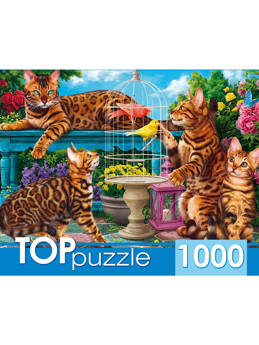 Рыжий кот Toppuzzle, 1000 деталей, Бенгальские коты в саду, Toppuzzle, 1000 деталей, Бенгальские коты в саду
Рыжий кот Toppuzzle, 1000 деталей, Бенгальские коты в саду, Toppuzzle, 1000 деталей, Бенгальские коты в саду