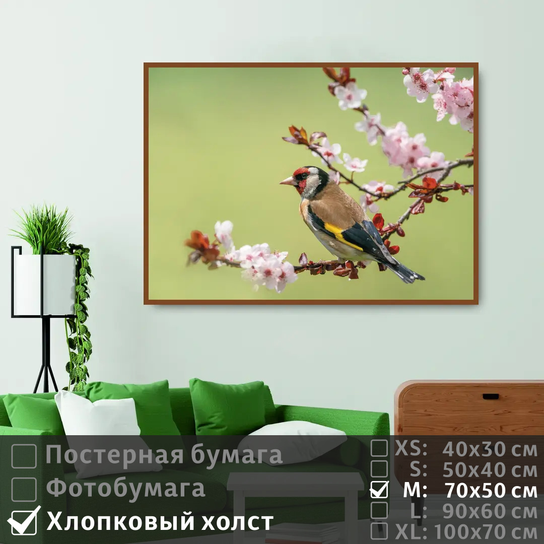 Постер на холсте ПолиЦентр Птица зяблик сидит на цветущей ветке 70х50 см, ПтицаЗябликСидитНаЦветущейВетке
Постер на холсте ПолиЦентр Птица зяблик сидит на цветущей ветке 70х50 см, ПтицаЗябликСидитНаЦветущейВетке