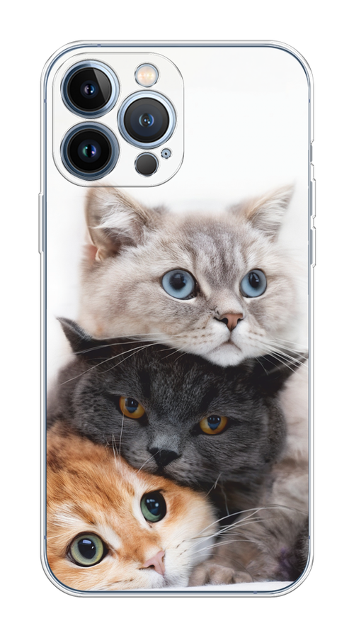 Чехол на Apple iPhone 13 Pro Max "Пушистые мордашки", Серый;черный;оранжевый, 14450-1
Чехол на Apple iPhone 13 Pro Max "Пушистые мордашки", Серый;черный;оранжевый, 14450-1