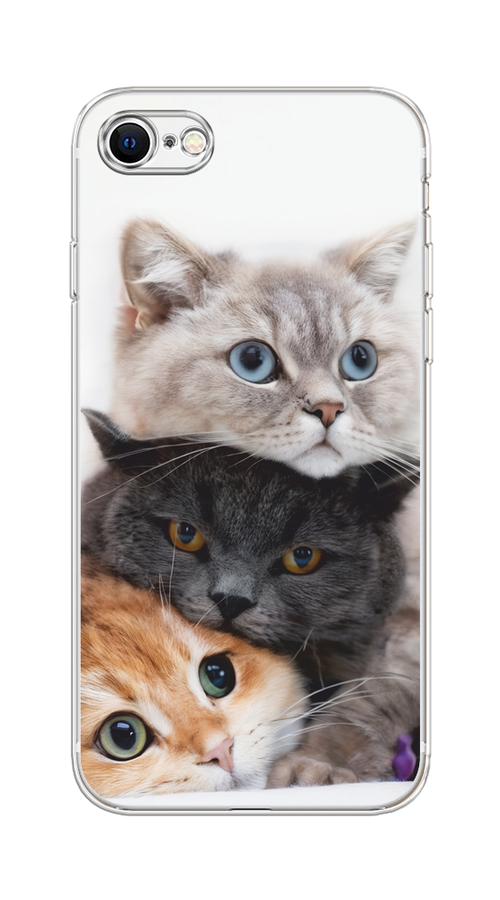 Чехол на Apple iPhone 7/8/SE 2020/SE 2022 "Пушистые мордашки", Серый;черный;оранжевый, 14850-1
Чехол на Apple iPhone 7/8/SE 2020/SE 2022 "Пушистые мордашки", Серый;черный;оранжевый, 14850-1