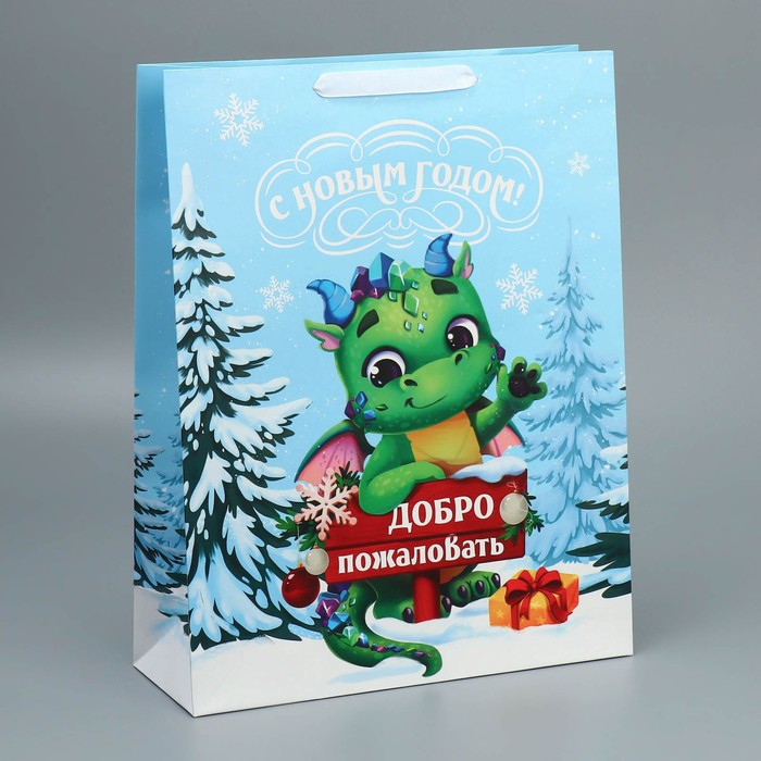 Пакет ламинированный вертикальный «Новогодний домик», L 31 х 40 х 11.5 см, Голубой
Пакет ламинированный вертикальный «Новогодний домик», L 31 х 40 х 11.5 см, Голубой