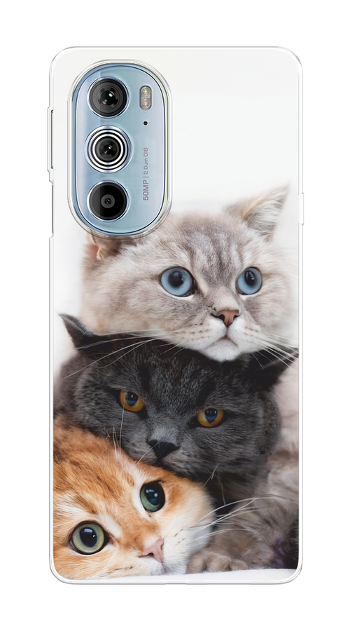 Чехол на Motorola Edge 30 Pro "Пушистые мордашки", Серый;черный;оранжевый, 243350-1
Чехол на Motorola Edge 30 Pro "Пушистые мордашки", Серый;черный;оранжевый, 243350-1