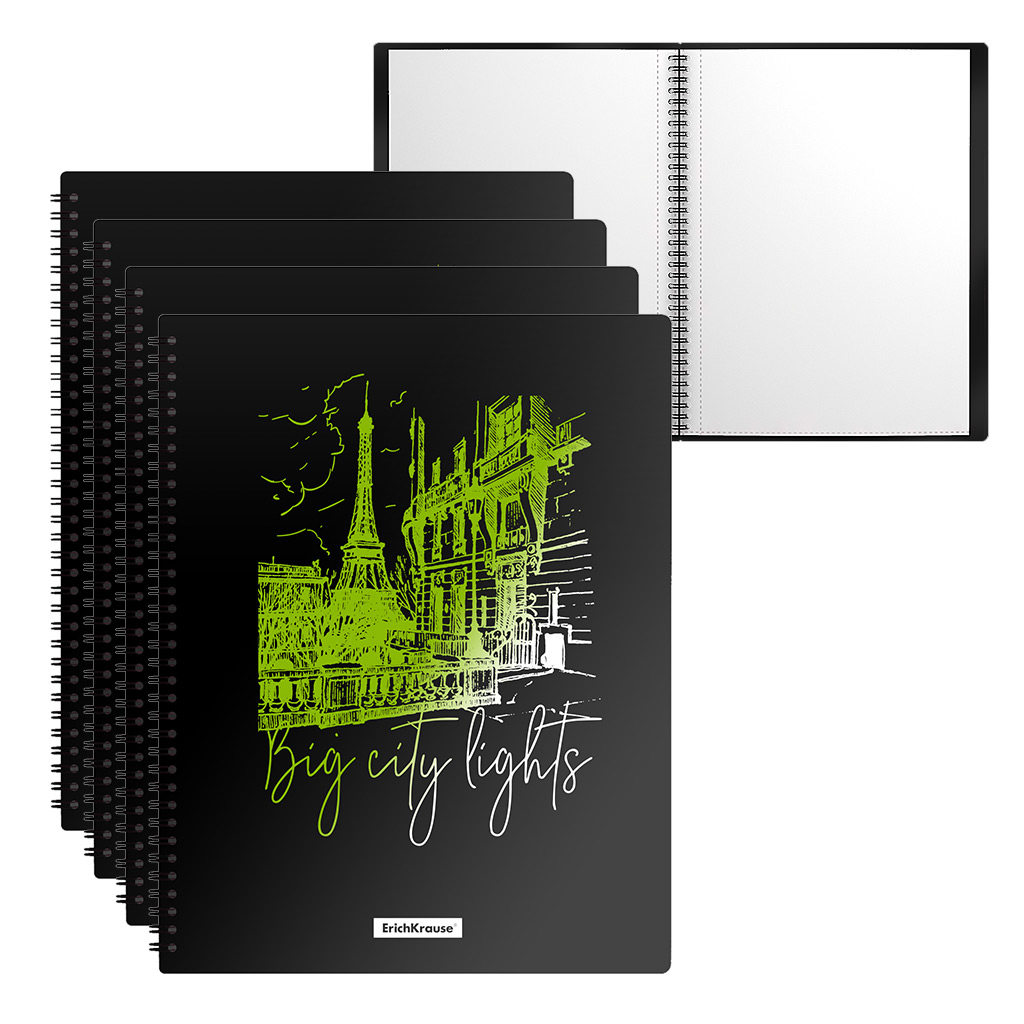 Папка файловая ErichKrause Night Lights на спирали с 20 прозрачными карманами A4 ассорти, Разноцветный
Папка файловая ErichKrause Night Lights на спирали с 20 прозрачными карманами A4 ассорти, Разноцветный