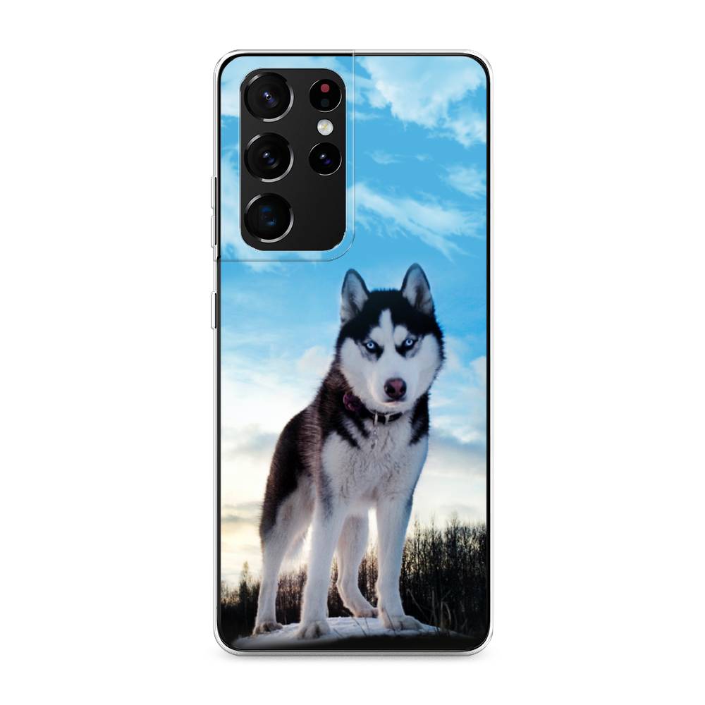 Чехол Awog на Samsung Galaxy S21 Ultra / Самсунг S21 Ultra "Хаски 3", Разноцветный, 2102250-2
Чехол Awog на Samsung Galaxy S21 Ultra / Самсунг S21 Ultra "Хаски 3", Разноцветный, 2102250-2