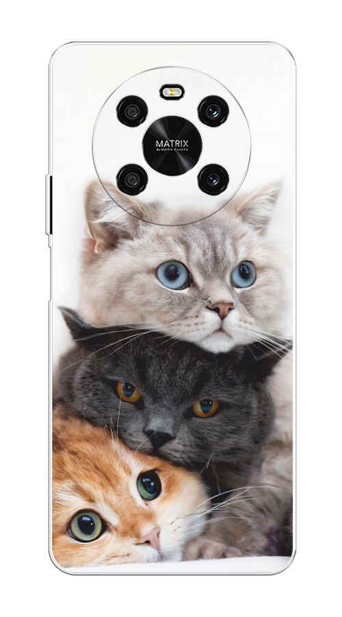 Чехол на Honor X9 4G/Magic4 Lite 4G "Пушистые мордашки", Серый;черный;оранжевый, 6108650-1
Чехол на Honor X9 4G/Magic4 Lite 4G "Пушистые мордашки", Серый;черный;оранжевый, 6108650-1