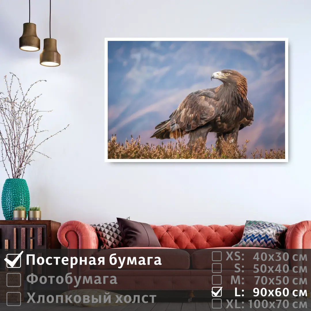 Постер на стену ПолиЦентр Хищная птица смотрит вдаль 90х60 см, ХищнаяПтицаСмотритВдаль
Постер на стену ПолиЦентр Хищная птица смотрит вдаль 90х60 см, ХищнаяПтицаСмотритВдаль