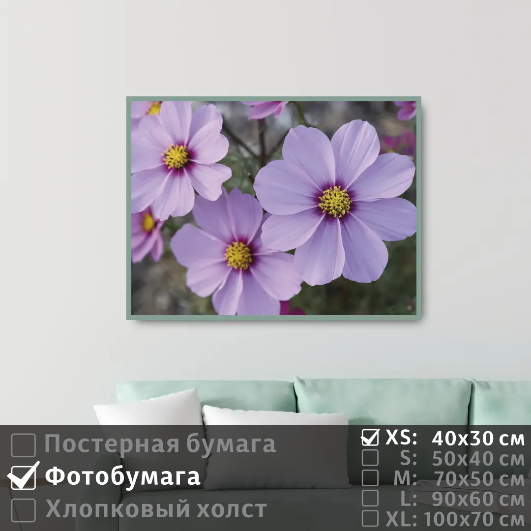 Постер на фотобумаге ПолиЦентр Летние сиреневые цветы 40х30 см, ЛетниеСиреневыеЦветы
Постер на фотобумаге ПолиЦентр Летние сиреневые цветы 40х30 см, ЛетниеСиреневыеЦветы