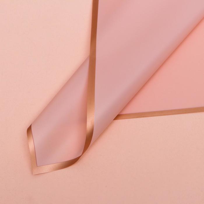 Пленка для цветов "Бронзовая полоса", пудра, 58 х 58 см (20 шт)
Пленка для цветов "Бронзовая полоса", пудра, 58 х 58 см (20 шт)