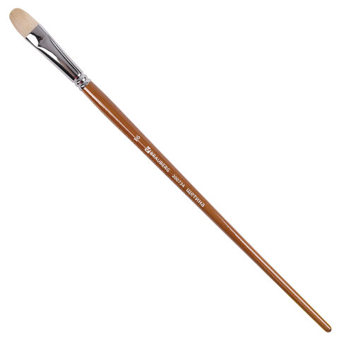 Кисть художественная Brauberg Art Classic, щетина, овальная, № 16, 200734, 2 шт, Коричневый
Кисть художественная Brauberg Art Classic, щетина, овальная, № 16, 200734, 2 шт, Коричневый