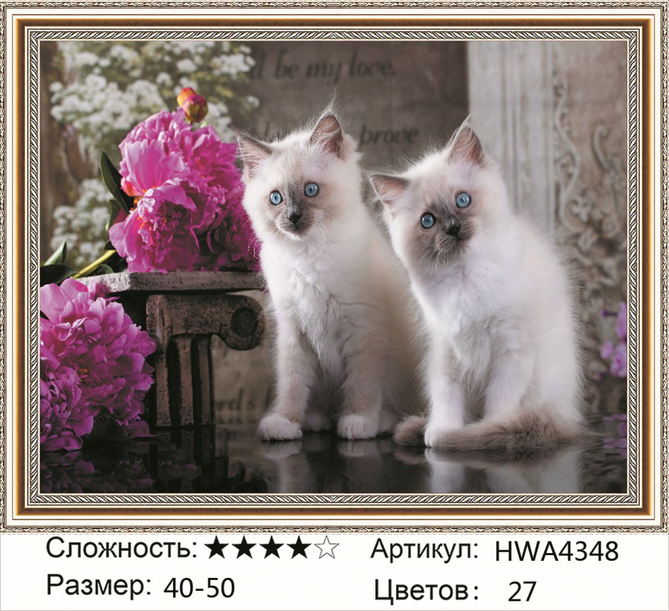 Алмазная мозаика DVEKARTINKI Белые пушистые котята и пионы 40x50, Белые пушистые котята и пионы
Алмазная мозаика DVEKARTINKI Белые пушистые котята и пионы 40x50, Белые пушистые котята и пионы