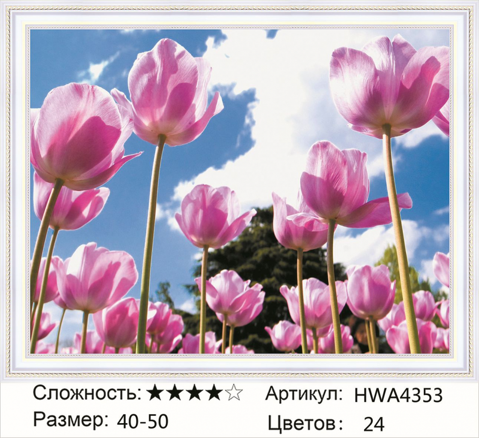 Алмазная мозаика DVEKARTINKI Бледно-розовые тюльпаны на фоне неба 40x50, Бледно-розовые тюльпаны на фоне неба
Алмазная мозаика DVEKARTINKI Бледно-розовые тюльпаны на фоне неба 40x50, Бледно-розовые тюльпаны на фоне неба