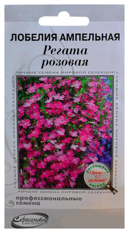 Лобелия ампельная Регата Розовая, 10 драже (1 драже 5-7 растений) Профессиональные семена
Лобелия ампельная Регата Розовая, 10 драже (1 драже 5-7 растений) Профессиональные семена
