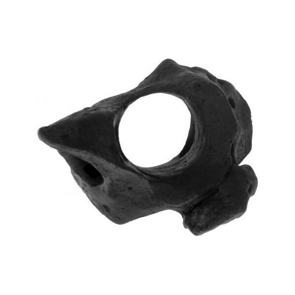 Грот для аквариума Barbus Decor 159 Камень черный, пластик, 24,5х17х11 см, Decor 159 Камень черный
Грот для аквариума Barbus Decor 159 Камень черный, пластик, 24,5х17х11 см, Decor 159 Камень черный
