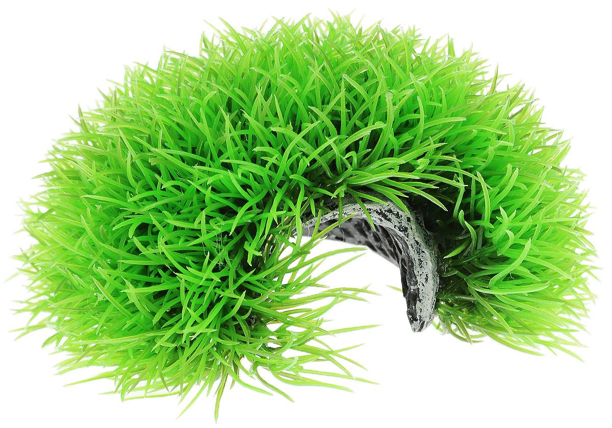 Искусственное растение для аквариума Barbus Мохнатая норка Plant 063 15 см, пластик, Зеленый, Мохнатая норка Plant 063
Искусственное растение для аквариума Barbus Мохнатая норка Plant 063 15 см, пластик, Зеленый, Мохнатая норка Plant 063